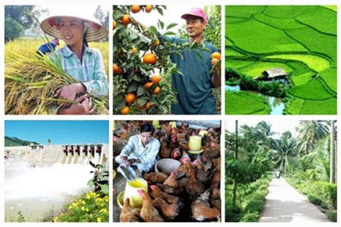 Nông nghiệp Việt Nam phát triển chưa tương xứng với tiềm năng sẵn có của Việt Nam (ảnh nguồn Internet)